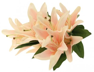 Light Pink Lily Bunch