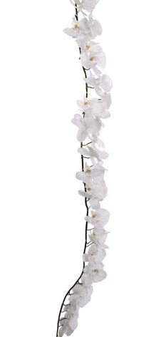 White Orchid Garland [150 cm]