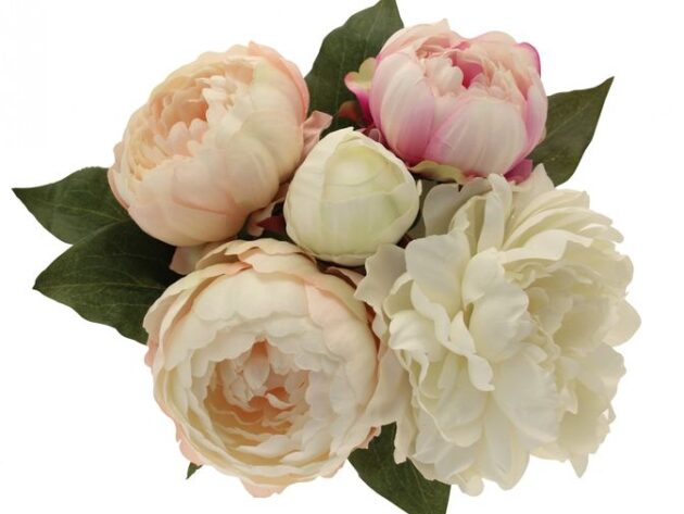 Peony Bouquet Cream & Pink
