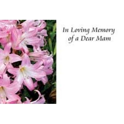 In Loving Memory Dear Mam Sympathy Card (x50)