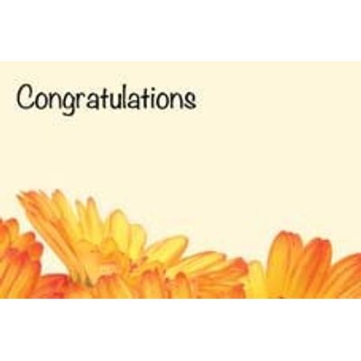 Congratulations Orange Gerbera Greeting Card (x50)