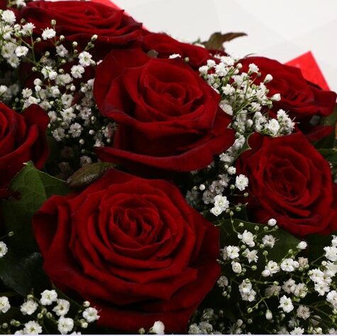 24 Red Roses With Gypsophila
